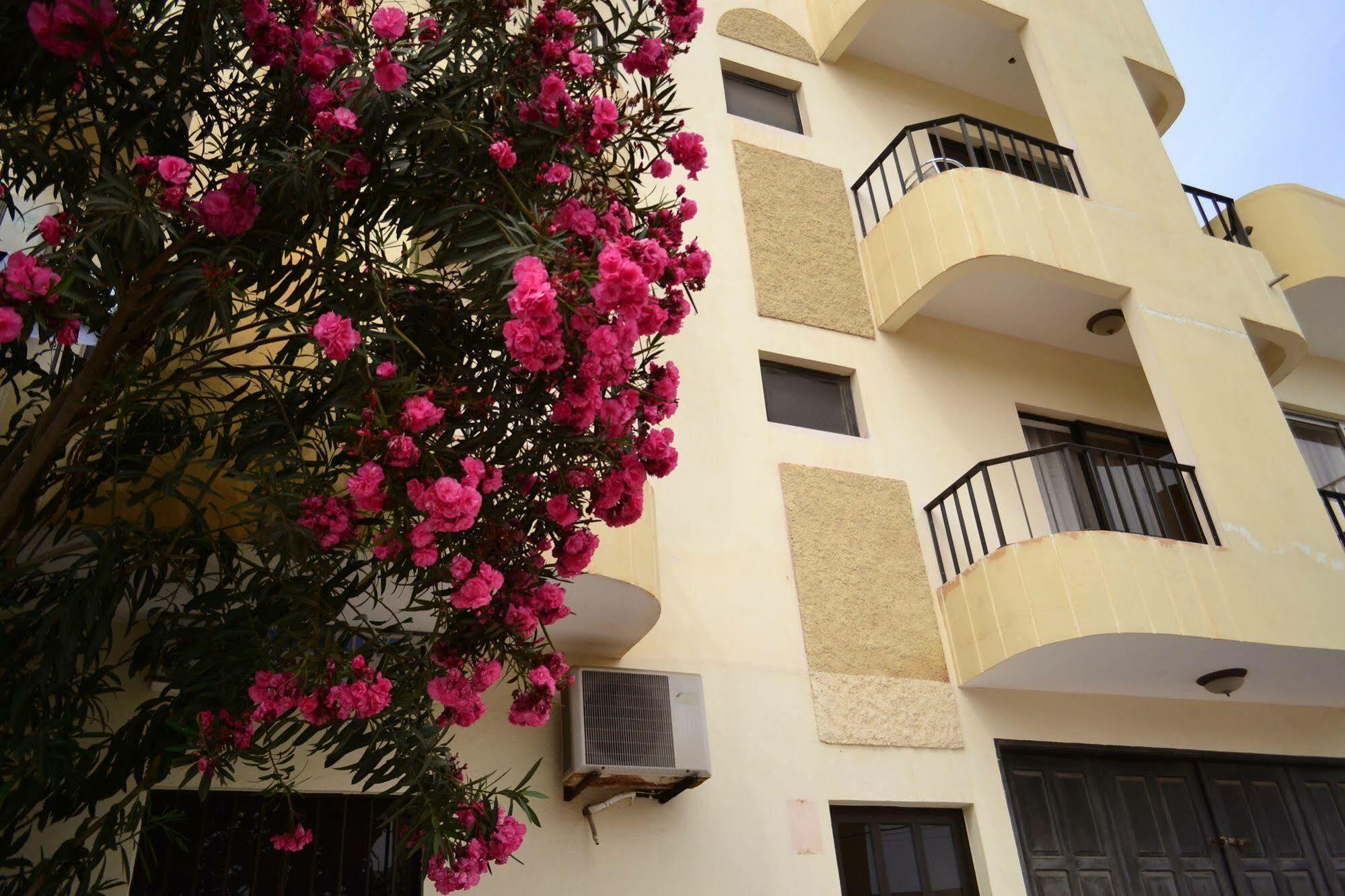 Hotel Central Sal Santa Maria Extérieur photo